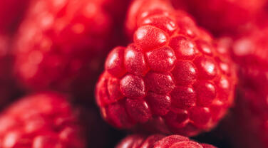 Framboises