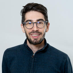 Dr. med. Aldin Srdanovic