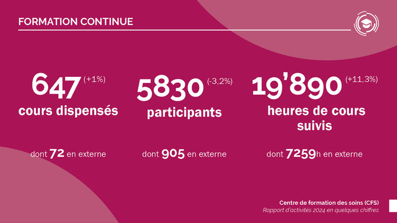 Rapport d’activités CFS 2024 formation continue