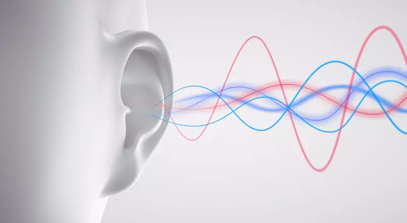 Conférence sur l'audition 2021