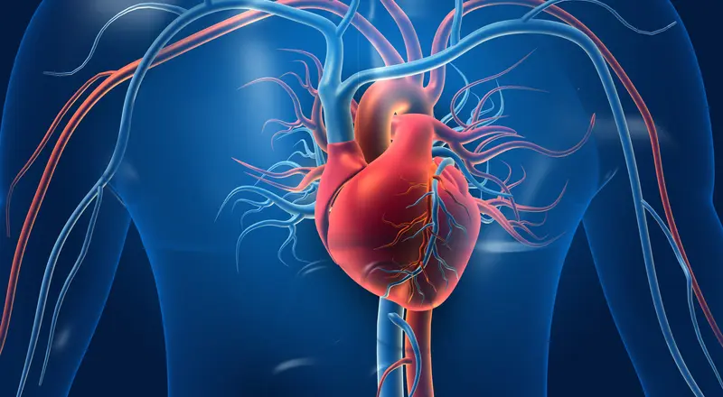 coronographie_pretexte_coeur