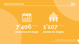 Rapport d’activités CFS 2024 stages